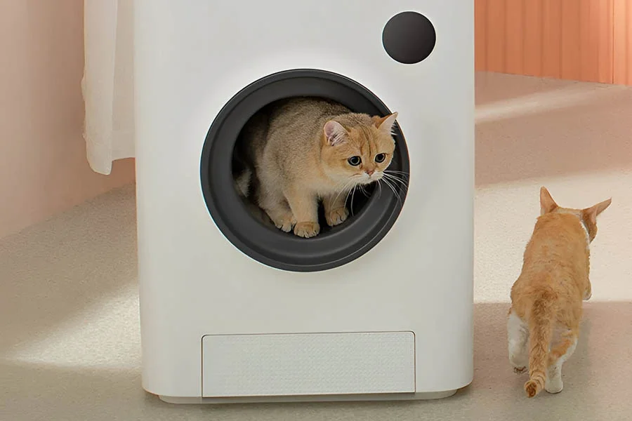 automated litter boxes