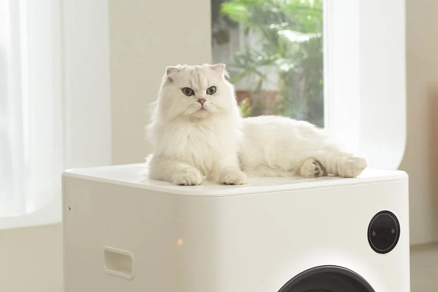 electronic kitty litter box