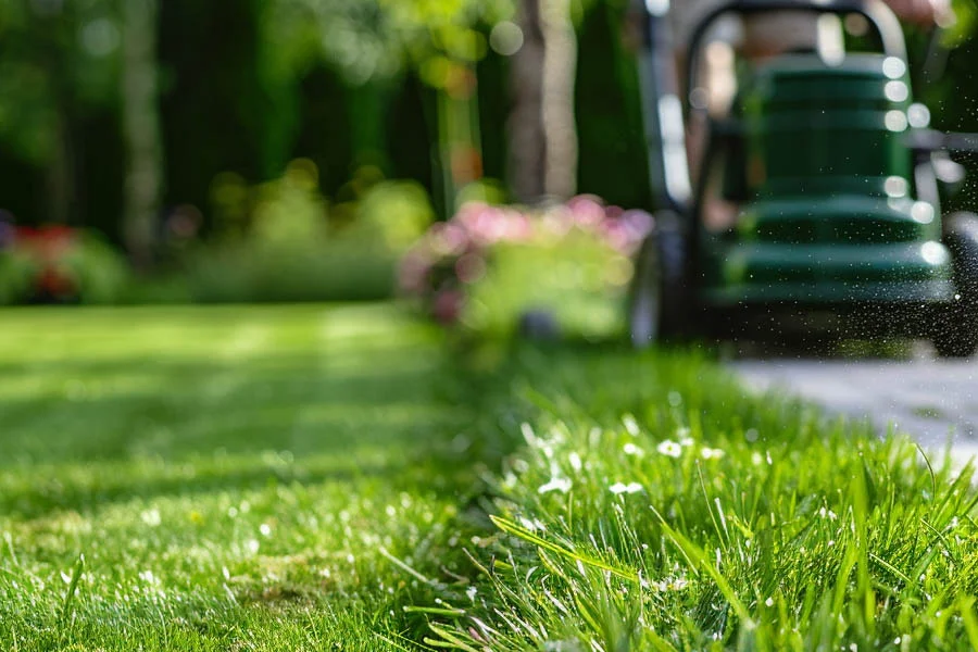 push electric lawn mower