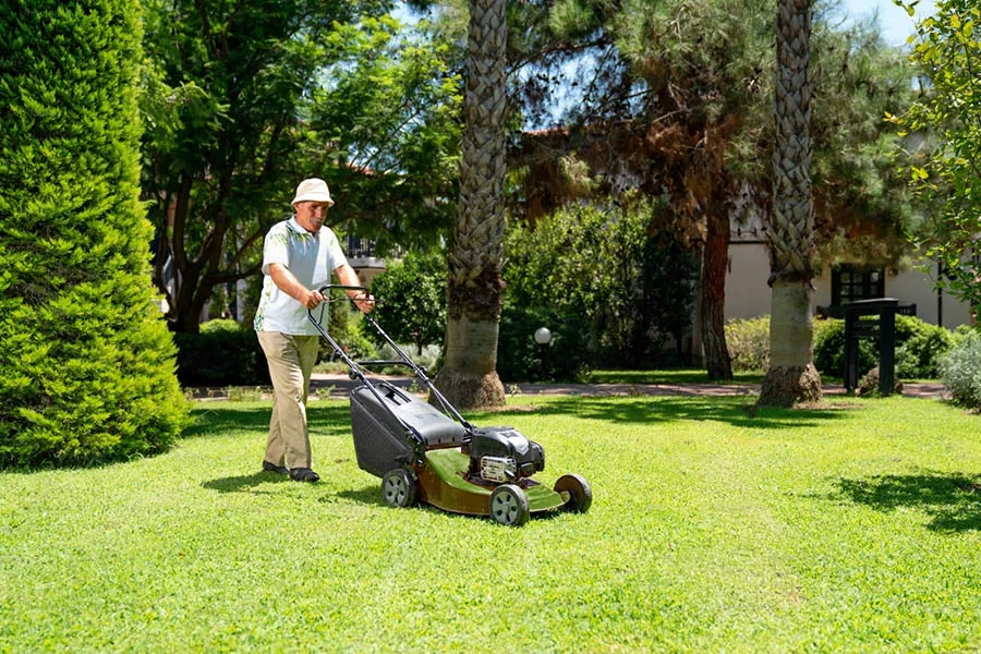 small yard mower